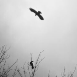 darinmoranphotography